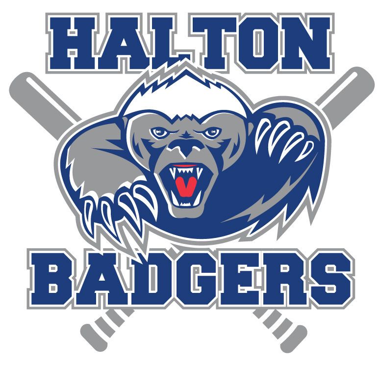 Halton Badgers Baseball Club